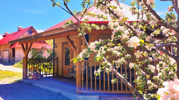 La Vieille Ferme ; l'Écogîte un loft campagnard Saint-Fulgence Exterior foto