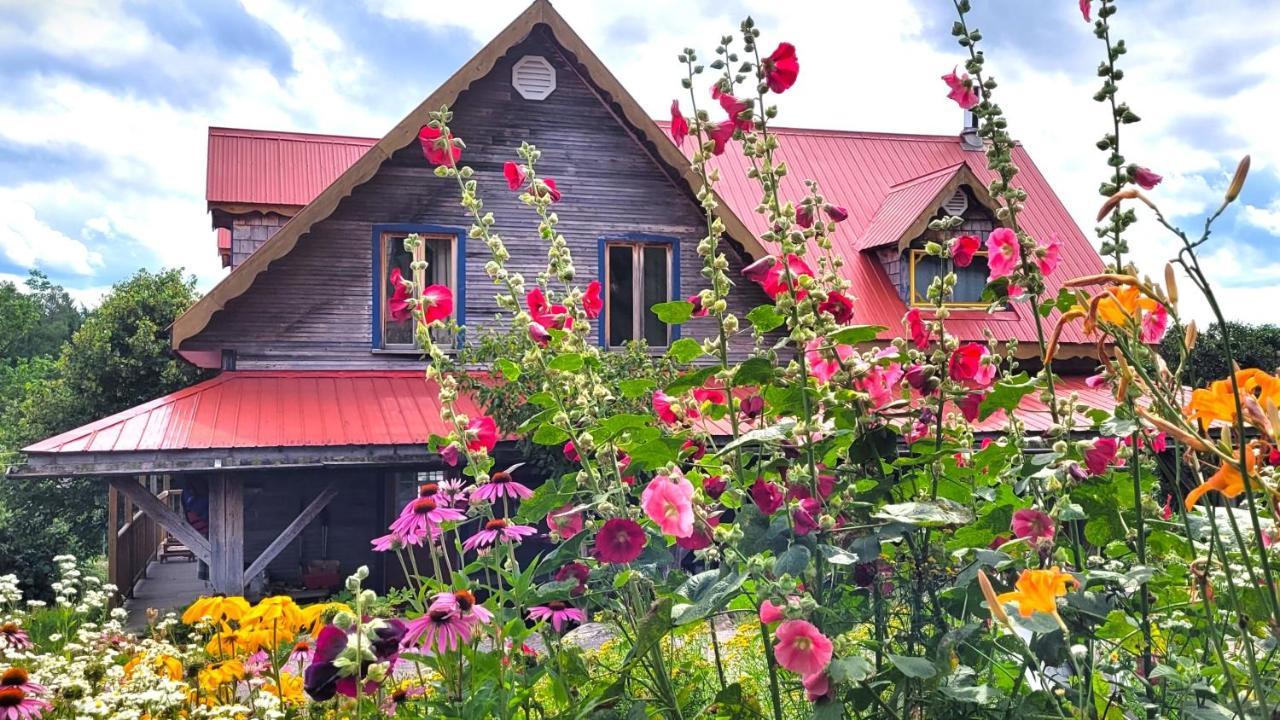 La Vieille Ferme ; l'Écogîte un loft campagnard Saint-Fulgence Exterior foto