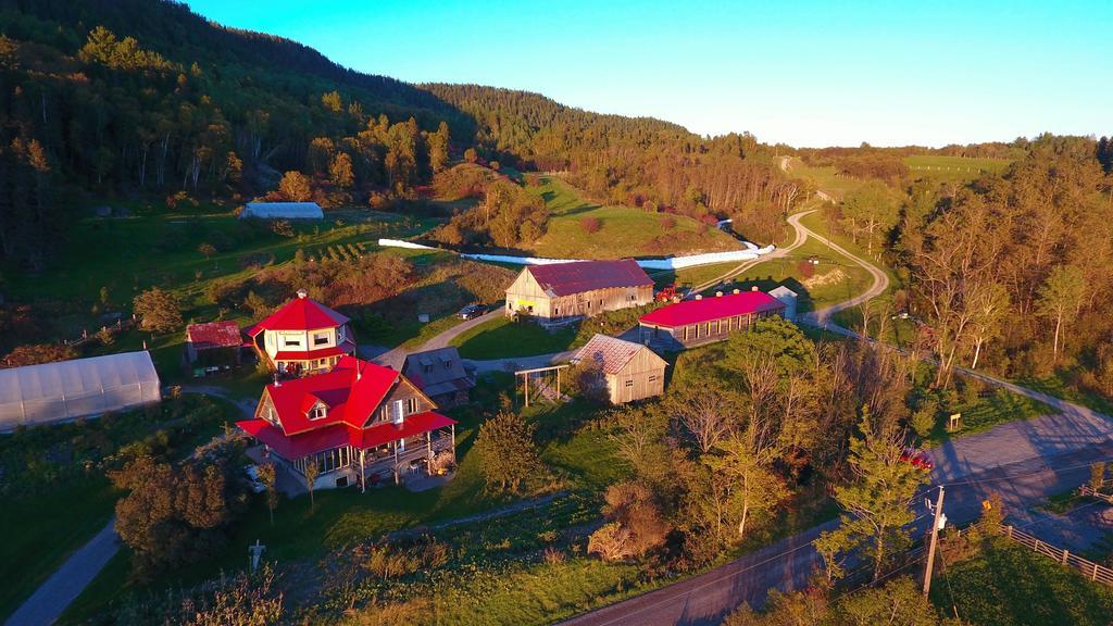 La Vieille Ferme ; l'Écogîte un loft campagnard Saint-Fulgence Exterior foto